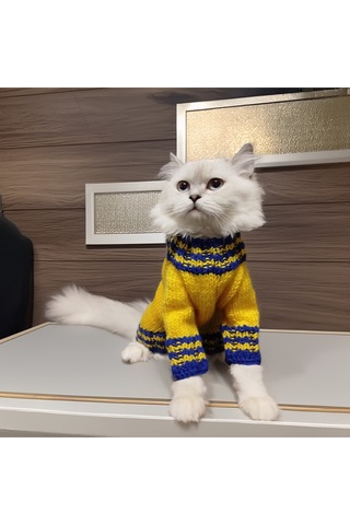 Kedi Ve Köpek İçin Sarı Kanarya Kazak