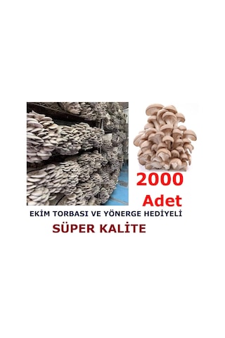 İstiridye Kavak Kayın Mantarı Tohumu Ekim Poşeti Ve Yönergeli N115651