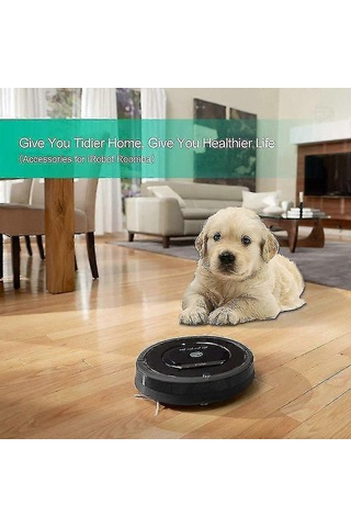 Elektrikli Süpürge Aksesuarları 4 Filtre & 4 Yan Fırça & 1 Temizl