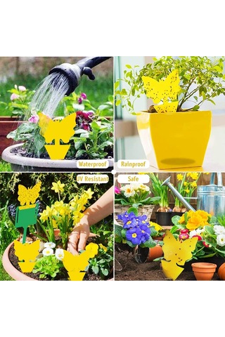 Mufunye Bitki Saksıları İçin Atrapa, Bitki Haşere Kontrolü, Tek Kullandım Atık, 8cm 13cm, Kauçuk+kağıt Malzeme