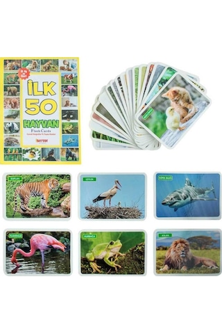 1352flashcardsilk50hayvan-dıytoy