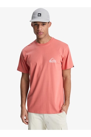 Quıksılver Ev Mını Logo Erkek Desert Sand - Solid T-shırt Eqyzt08181-2020 Pembe