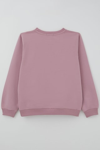 Breeze Kız Çocuk Sweatshirt Taş Aksesuarlı 9-14 Yaş , Gülkurusu