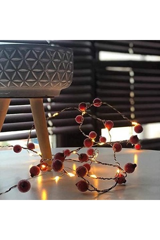 Kokinalı Süsleme Işık Telleri