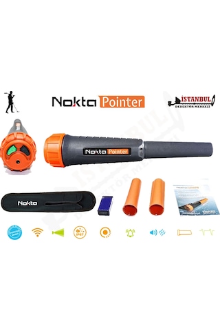 Nokta Pointer Dedektör
