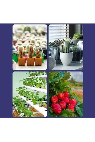 Besthome1 İç Mekan Bitkiler İçin Led Grow Ampul Kırmızı Mavi Beyaz Renkli Yüksek Verimli