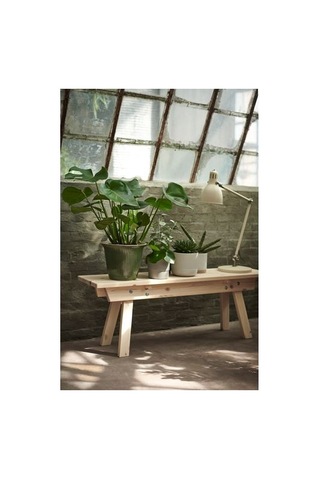 Ikea Monstera Canlı Bitki, Yeşil, 21 Cm, Deve Tabanı