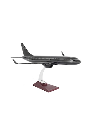 Zekupp Boeing 737-800 1/100 Ölçek Çizgi Detaylı Siyah Tasarımlı Model Uçak