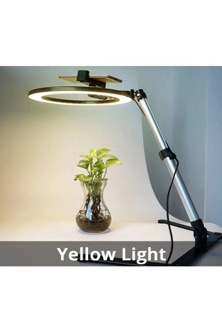 Masaüstü Ürün Çekim Stand Video Ve Fotoğraf Çekimi 10" Ring Light Tripod Selfie Işık Çekim Işığı
