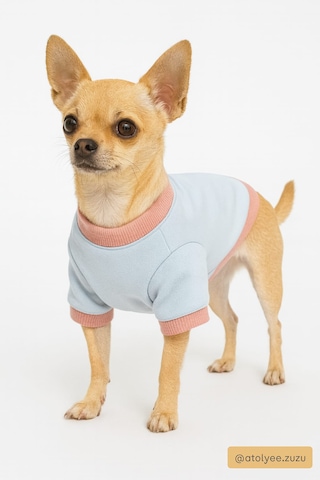 Atölye Zuzu Küçük Irk Köpek Sweatshirt Pamuklu