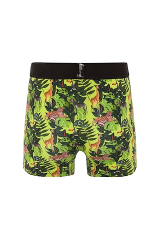Farm Animals Tropical Desenli Boxer Yeşil