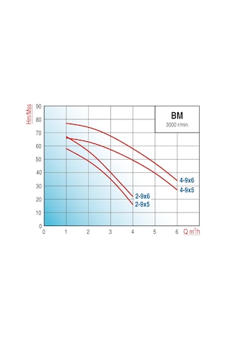 Varan Bm2-9x5 Hıd/80 L Tanklı Yatay Kademeli Hidrofor 1.5 HP / 1.1 kW Monofaze 220 V, 32 - 54 Mss