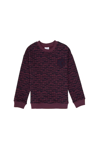 U.S. Polo Assn. Erkek Çocuk Bordo Bisiklet Yaka Sweatshirt 50308599-VR177