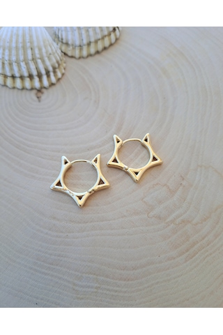 Dali Shop Yıldız Halka Küpe Altın Renk Altın