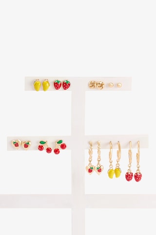 Penti Renkli Mix Fruit Küpe Seti çok renkli