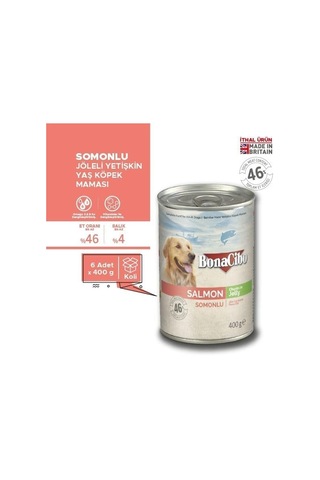 Jöleli Somonlu Yaş Yetişkin Köpek Maması 6 X 400 Gr