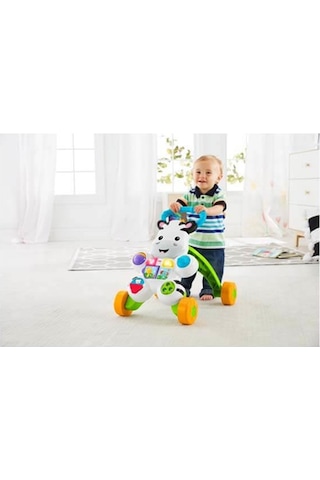 6 Ay Fisher Price Melodili Zebra Yürüteç Dld80