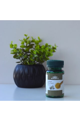Fortiapin Bitkisel Kapsül 60 Kapsül