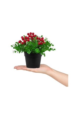 3’Lü Set Siyah Mini Plastik Saksıda Yapay Kokina, Aloe Vera Ve Li