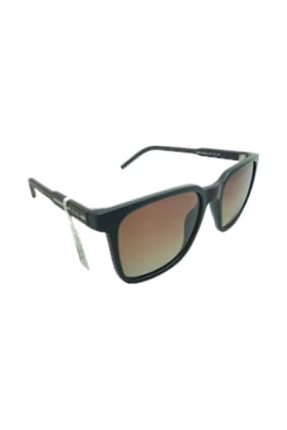 Black Mod.8338 C.03 Kahverengi Erkek Güneş Gözlüğü Kahverengi