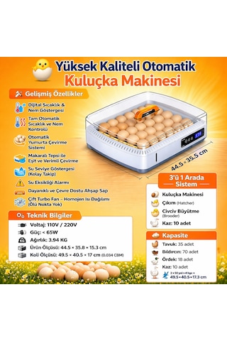 35 Yumurta Kuluçka Makinesi-en Yeni Arena Tasarımı İlhamı