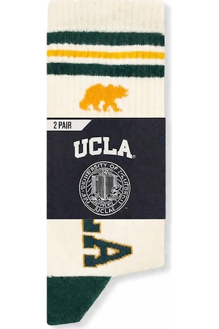 Ucla Ardelle 2'li Ekru-yeşil Uzun Jakarlı Pamuk Standard Fit Unisex Çorap