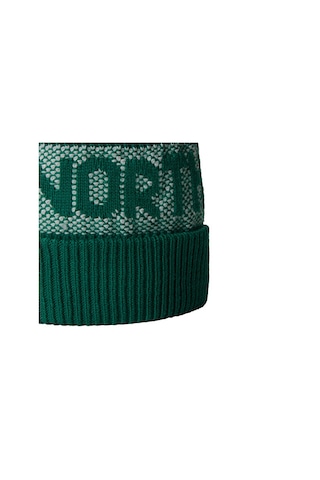 The North Face Retro Cabin Beanie Unisex Outdoor Beresi Nf0a88qw84o1 Yeşil Yeşil