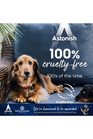 Astonish Koltuk Ve Halı Temizleyici Sprey 750 Ml
