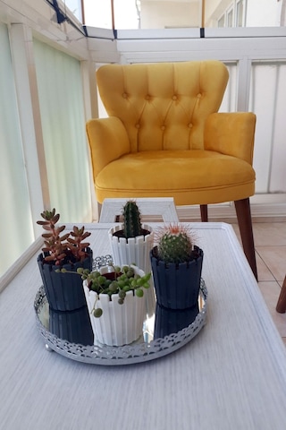 Kayser Home Berjer - Tekli Koltuk - Düz Renk - Ahşap Ayak - Babyface Kumaş - Sarı Sarı