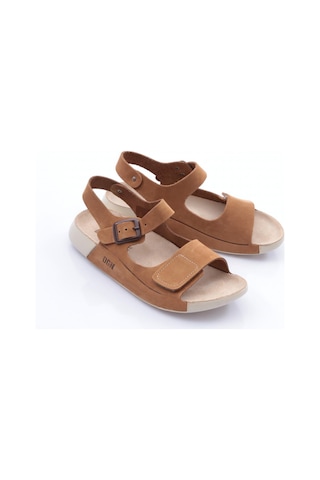 Dgn P28 Kadin Çift Bantli Sandalet P28-1512-R1774 Taba