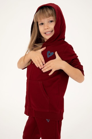 U.S. Polo Assn. Kız Çocuk Bordo Fermuarlı Basic Sweatshirt 50296390-VR014