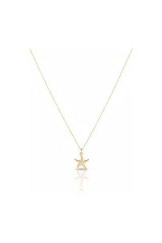 14 Ayar Altın Minimal Yıldız Kolye 713 Gold