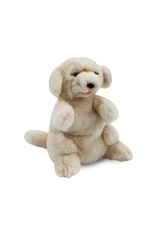 Golden Retriever Kukla (Tüm Beden) 30 cm