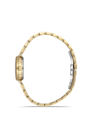 Ferro Fl21617awt-b4 Quartz Çelik Altın Rengi 26 Mm Kadın Kol Saati Altın
