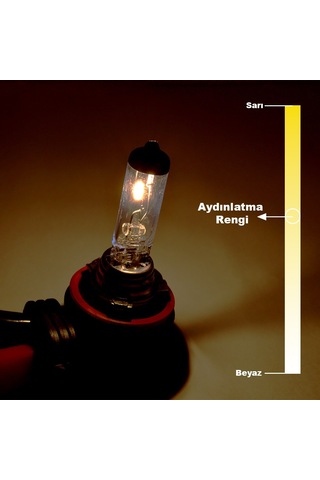 12V 55W H11 Standart Far Ampulü 64211