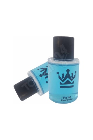 Toptan24 Otel Tipi Mini Duş Jeli 500 x 30 ML
