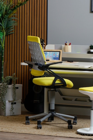 Creo Mobili Yükseklik Ayarlı Vega Plus Çalışma Sandalyesi, Ofis Ve Bilgisayar Koltuğu Sarı/sarı Gri