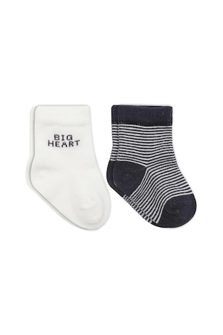 Bistyle Big Heart Penye Soket Çorap 2'li Bs10117 Antrasit Antrasit