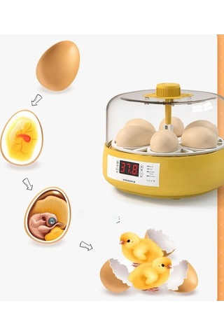 Pazly Yarı Otomatik 4 Yumurta Kuluçka Makinesi - Tavuk Ve Kaz İçin Sm