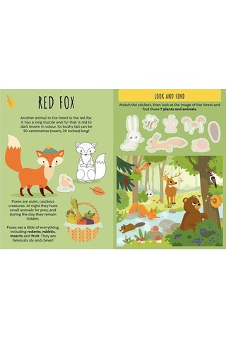 Sassi The Forest - Sticker And Activities