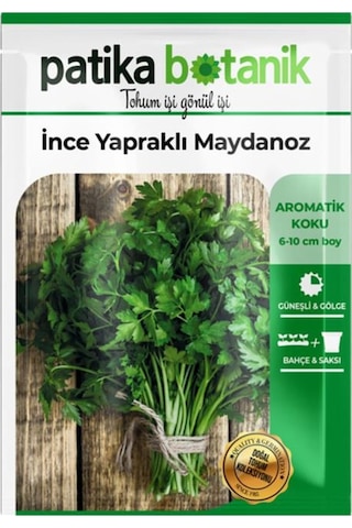2500 Adet İnce Yapraklı Maydanoz