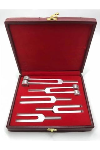 Vzn 5'li Diapozon Set Frekans 128, 256, 512, 1024, 2048 Diyapozon