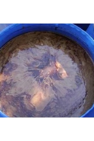 Melas Sülfürsüz Şeker Pancarı Melası Pekmez 42 KG