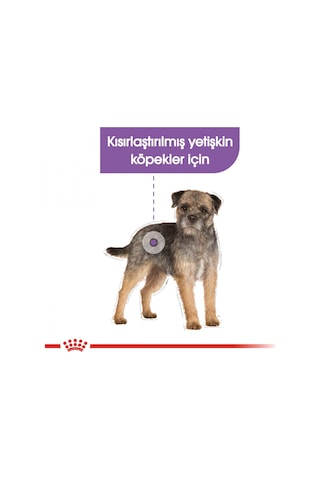 Royal Canin Sterilised Kısırlaştırılmış Yetişkin Köpek Maması 12 x 85 G