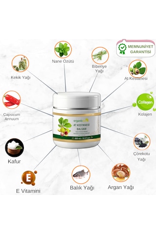 Organicsun At Kestanesi Balsamı 3 x 500 ML