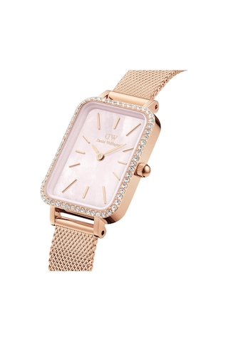 Daniel Wellington Dw00600669 Kadın Kol Saati Diğer