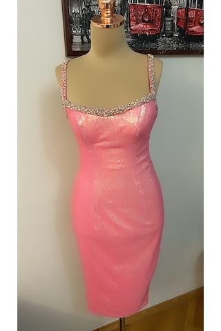 Chica Rosa Fashion Swarowski Taş, İnci Ve Boncuk İşlemeli Pembe Elbise Pearl