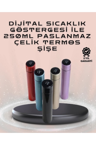 Ceylan Adam 250ml Led Ekranlı Paslanmaz Çelik Akıllı Termos Çok Renkli
