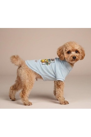 Miniş Paradise Küçük Irk Köpek Pike Kumaş Polo T-shirt-21594