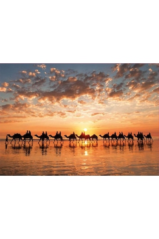 Educa 1000 Parça Cable Beach'Te Günbatımı Puzzle - Develer